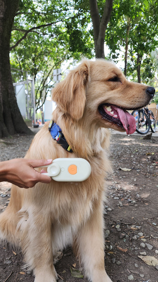 CEPILLO VAPORIZADOR PARA MASCOTAS